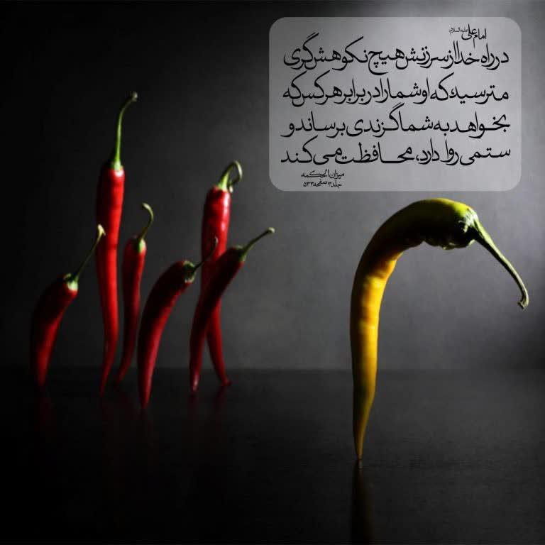 در راه خدا از سرزنش هيچ نكوهشگرى نترسيد
