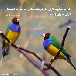 هر چه محبّت دارى نثار دوستت بكن