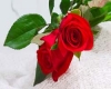 برای جاری کردن صیغه محرمیت در ازدواج موقت چه مسائل شرعی، باید مراعات شود؟ ر ازدواج موقت