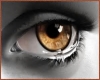 عشق های بی هدف3