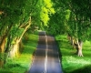 خوشبختی خوشبختی