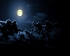 رویای صادقه رویای صادقه