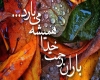رحمت الهی رحمت الهی