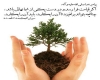 درختکاری در اسلام