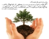 درختکاری در اسلام درختکاری در اسلام