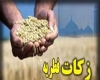 میزان فطریه فطریه