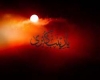 زينب كبرى علیها السلام، الگوى پرستاران زينب كبرى علیها السلام