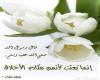 مفاهيم اخلاق اخلاق